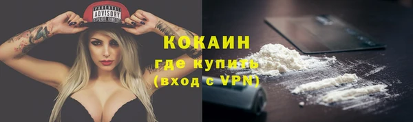 прущие грибы Семёнов