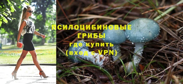 гашик Баксан
