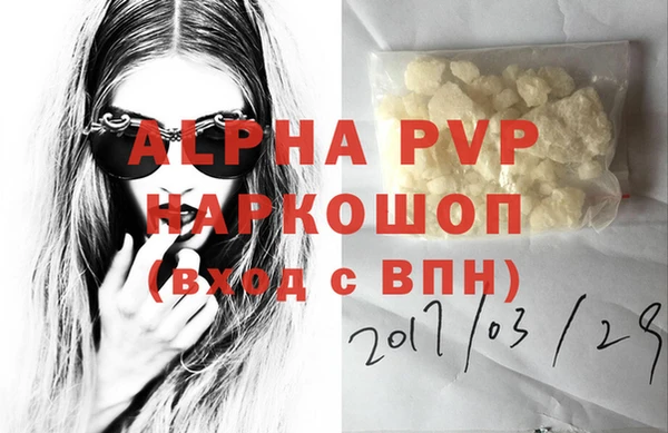 гашик Баксан