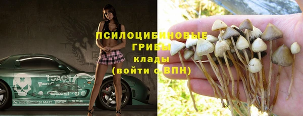 гашик Баксан