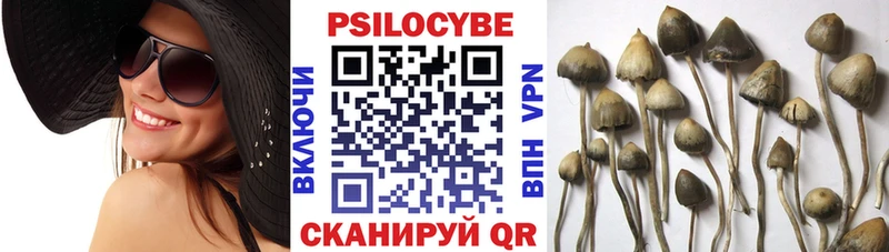 Псилоцибиновые грибы GOLDEN TEACHER  kraken зеркало  Теберда 